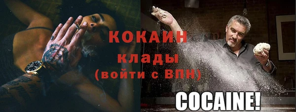 кокс Ельня