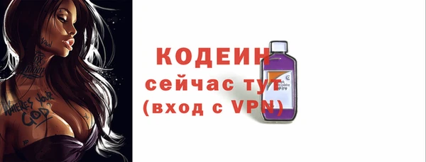 кокс Ельня