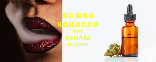 твердый Елабуга