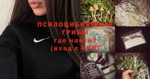 кокс Ельня