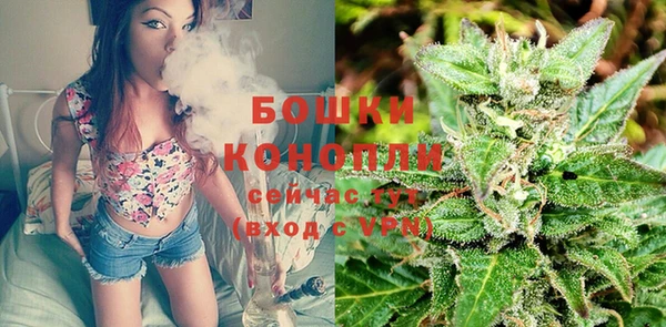 твердый Елабуга
