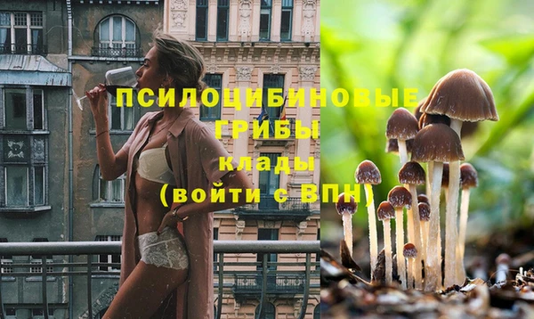кокс Ельня