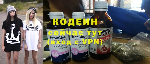 кокс Ельня