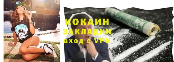 кокс Ельня