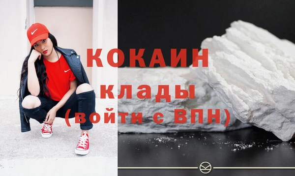 кокс Ельня