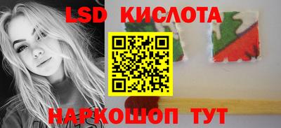 эйфоретик Аргун