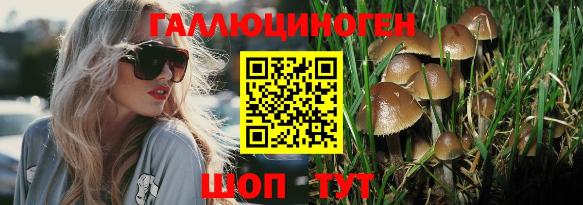 Галлюциногенные грибы мухоморы  Вход с VPN  Пыть-Ях 