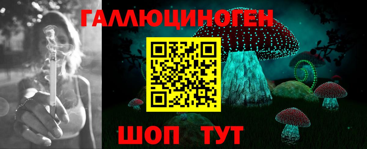 Псилоцибиновые грибы Psilocybe Пыть-Ях